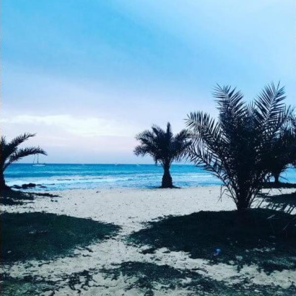 Land - António Sousa Beach - Cape Verde